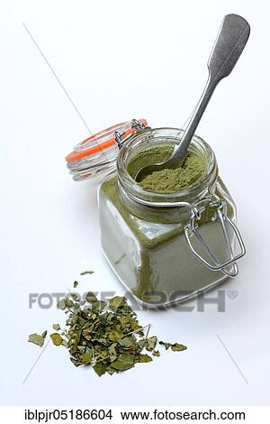 Picture - Moringa powder in glass ( Moringa oleifera). Fotosearch