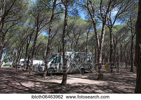 Motorhome between pine trees, campsite, Sardinia, Italy, Europe View Large Photo Image Stock Image - Motorhome between pine trees, campsite, Sardinia, Italy, Europe. Fotosearch
