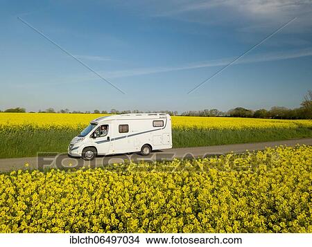 Motorhome driving on country road through blooming rape field, Fehmarn, Schleswig-Holstein, Germany, Europe View Large Photo Image Picture - Motorhome driving on country road through blooming rape field, Fehmarn, Schleswig-Holstein, Germany, Europe. Fotosearch