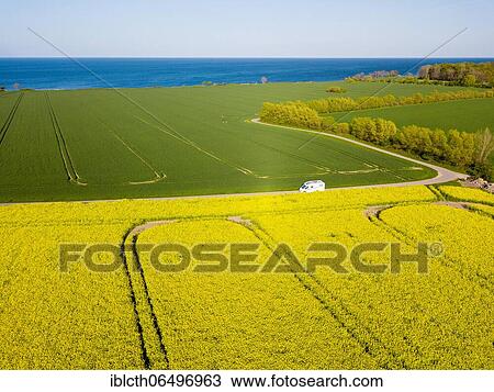 Motorhome driving on country road through blooming rape field, Fehmarn, Schleswig-Holstein, Germany, Europe View Large Photo Image Stock Image - Motorhome driving on country road through blooming rape field, Fehmarn, Schleswig-Holstein, Germany, Europe. Fotosearch