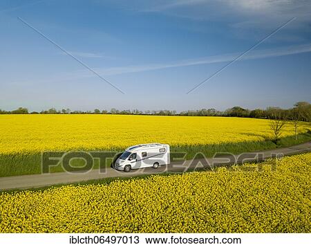 Motorhome driving on country road through blooming rape field, Fehmarn, Schleswig-Holstein, Germany, Europe View Large Photo Image Stock Image - Motorhome driving on country road through blooming rape field, Fehmarn, Schleswig-Holstein, Germany, Europe. Fotosearch
