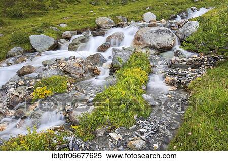Mountain stream at the Julier Pass, Grisons, Switzerland, Europe View Large Photo Image Stock Photography - Mountain stream at the Julier Pass, Grisons, Switzerland, Europe. Fotosearch