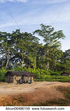 Mud house, deep in the jungle of Cameroon View Large Photo Image Stock Photo - Mud house, deep in the jungle of Cameroon. Fotosearch