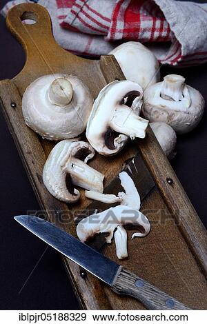 Stock Photo - Mushroom, white cultivated mushrooms on grater, Agaricus bisporus, cultivated mushroom, Egerling. Fotosearch