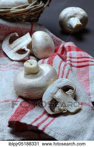 Stock Image - Mushroom, white cultivated mushrooms Agaricus bisporus, cultivated mushroom, Egerling. Fotosearch