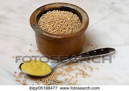 Stock Photo - Mustard seeds and mustard. Fotosearch