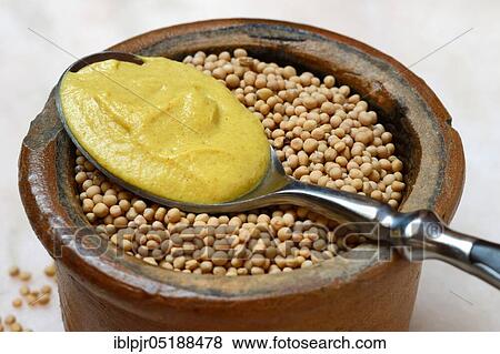 Mustard seeds and mustard View Large Photo Image Stock Photo - Mustard seeds and mustard. Fotosearch