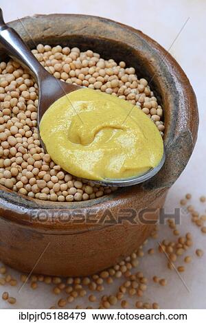 Mustard seeds and mustard View Large Photo Image Stock Photo - Mustard seeds and mustard. Fotosearch