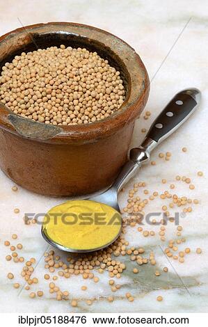 Mustard seeds and mustard View Large Photo Image Stock Photograph - Mustard seeds and mustard. Fotosearch