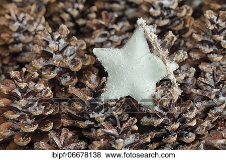 Natural Advent decoration with star View Large Photo Image Stock Photo - Natural Advent decoration with star. Fotosearch