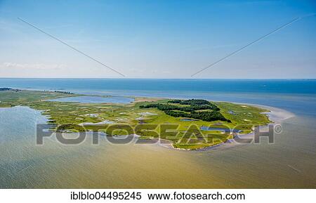 Nature reserve peninsula Struck, Freesendorfer See, Usedom Island, Baltic Sea, Germany, Europe View Large Photo Image Stock Photography - Nature reserve peninsula Struck, Freesendorfer See, Usedom Island, Baltic Sea, Germany, Europe. Fotosearch