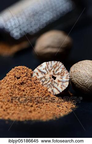 Stock Photography - Nutmegs and nutmeg powder, ground, grated. Fotosearch