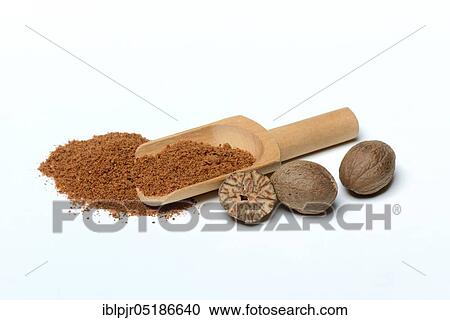 Stock Image - Nutmegs and nutmeg powder in scoop, ground ( Myristica fragrans). Fotosearch