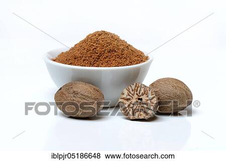 Nutmegs and nutmeg powder in shell, ground ( Myristica fragrans) View Large Photo Image Stock Photo - Nutmegs and nutmeg powder in shell, ground ( Myristica fragrans). Fotosearch