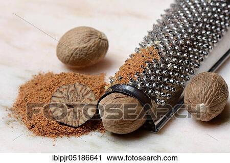 Stock Image - Nutmegs and nutmeg powder with grater, ground, nutmeg grater ( Myristica fragrans). Fotosearch
