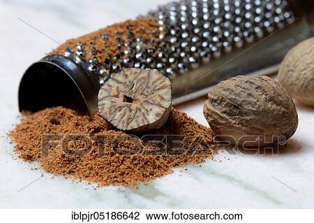 Nutmegs and nutmeg powder with grater, ground, nutmeg grater ( Myristica fragrans) View Large Photo Image Stock Image - Nutmegs and nutmeg powder with grater, ground, nutmeg grater ( Myristica fragrans). Fotosearch
