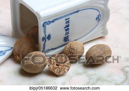 Stock Image - Nutmegs ( Myristica fragrans). Fotosearch