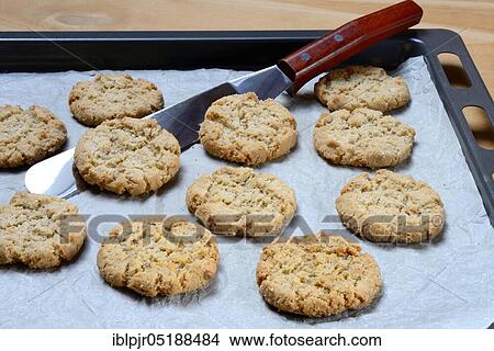 Oatmeal biscuits on baking sheet View Large Photo Image Picture - Oatmeal biscuits on baking sheet. Fotosearch