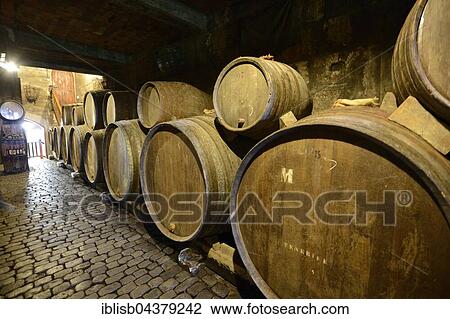 Old wine barrels in wine cellar, Tenerife, Canary Islands, Spain, Europe View Large Photo Image Stock Image - Old wine barrels in wine cellar, Tenerife, Canary Islands, Spain, Europe. Fotosearch