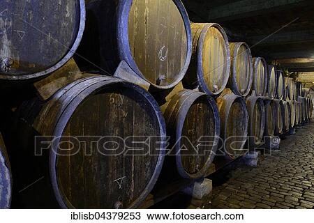 Old wine barrels in wine cellar, Tenerife, Canary Islands, Spain, Europe View Large Photo Image Stock Image - Old wine barrels in wine cellar, Tenerife, Canary Islands, Spain, Europe. Fotosearch