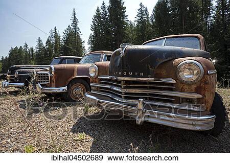 Stock Photo - Oldtimer, Plymouth, scrap cars, near Spokane, Washington, USA, North America. Fotosearch