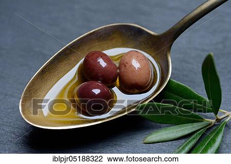 Olive oil and olives in spoon, Amphisis olives, Greek olives from Amphissa, Greece, Europe View Large Photo Image Stock Image - Olive oil and olives in spoon, Amphisis olives, Greek olives from Amphissa, Greece, Europe. Fotosearch