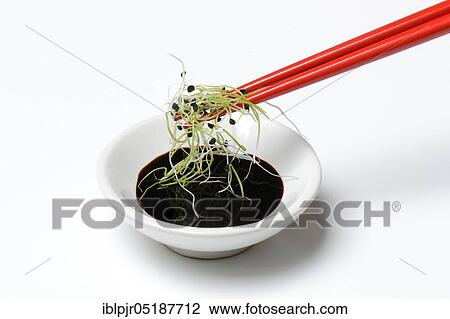 Onion sprouts with chopsticks and peel with soy sauce, Allium spec View Large Photo Image Stock Image - Onion sprouts with chopsticks and peel with soy sauce, Allium spec. Fotosearch