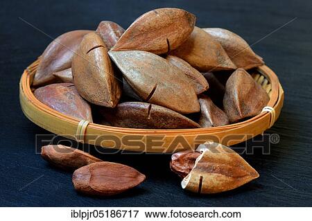 Opened pilinut and pre-scored pilinuts in shell ( Canarium ovatum) View Large Photo Image Stock Photo - Opened pilinut and pre-scored pilinuts in shell ( Canarium ovatum). Fotosearch