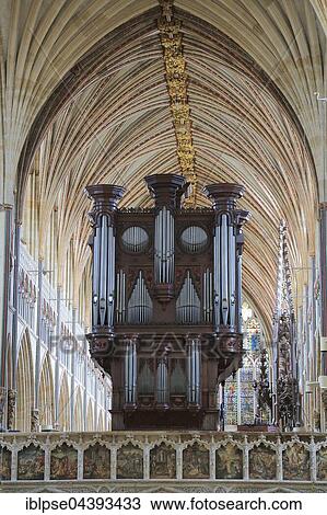 Organ, Cathedral Church of Saint Peter at Exeter, Exeter, Devon, England, United Kingdom, Europe View Large Photo Image Stock Image - Organ, Cathedral Church of Saint Peter at Exeter, Exeter, Devon, England, United Kingdom, Europe. Fotosearch