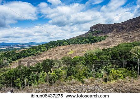 Padges of rainforest in the savannah of the Unesco world heritage sight Lope national park, Gabon, Africa View Large Photo Image Stock Photography - Padges of rainforest in the savannah of the Unesco world heritage sight Lope national park, Gabon, Africa. Fotosearch