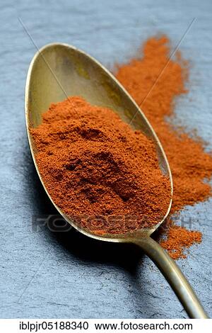 Paprika powder in spoon, Capsicum annuum, chili, chili powder View Large Photo Image Stock Image - Paprika powder in spoon, Capsicum annuum, chili, chili powder. Fotosearch