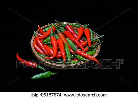 Peppers ( Capsicum frutescens), Chillies, Chillies, Chillies, Chilli pepper, Chilli, Cayenne, Cayenne pepper, Piri-Piri, Tabasco, Peperoncini View Large Photo Image Picture - Peppers ( Capsicum frutescens), Chillies, Chillies, Chillies, Chilli pepper, Chilli, Cayenne, Cayenne pepper, Piri-Piri, Tabasco, Peperoncini. Fotosearch