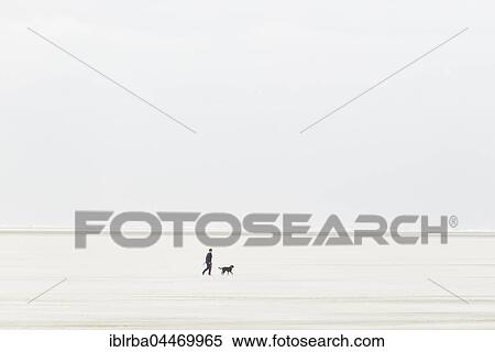 Stock Photography - Person with dog walks over the sandbank in stormy weather, sand drift, Sankt Peter-Ording, Schleswig-Holstein Wadden Sea National Park, North Frisia, Schleswig-Holstein, Germany, Europe. Fotosearch