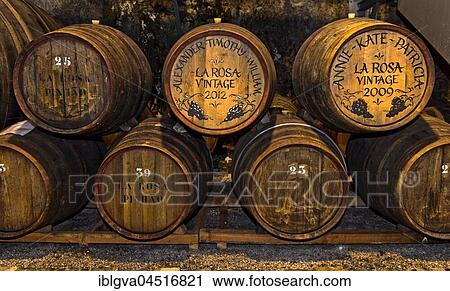 Personalized port wine barrels in a wine cellar, Quinta de la Rosa, Pinhao, Alto Douro, Portugal, Europe View Large Photo Image Stock Image - Personalized port wine barrels in a wine cellar, Quinta de la Rosa, Pinhao, Alto Douro, Portugal, Europe. Fotosearch