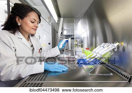 Pharmacist pipetting, Heinrich-Heine University, Düsseldorf, North Rhine-Westphalia, Germany, Europe View Large Photo Image Stock Photo - Pharmacist pipetting, Heinrich-Heine University, Düsseldorf, North Rhine-Westphalia, Germany, Europe. Fotosearch