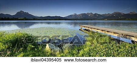 Pier and water lilies, Hopfensee, in front of the Allgäu Alps, Allgäu, Bavaria, Germany, Europe View Large Photo Image Stock Photography - Pier and water lilies, Hopfensee, in front of the Allgäu Alps, Allgäu, Bavaria, Germany, Europe. Fotosearch