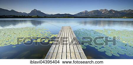 Picture - Pier over water lilies, Hopfensee, in front of the Allgäu Alps, Allgäu, Bavaria, Germany, Europe. Fotosearch
