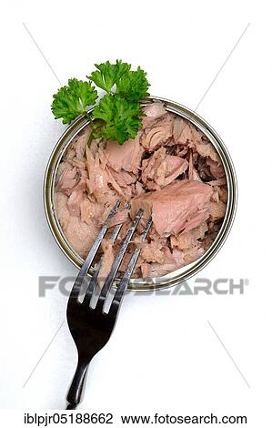 Pink canned tuna, diet View Large Photo Image Stock Image - Pink canned tuna, diet. Fotosearch