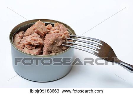 Pink canned tuna, diet View Large Photo Image Stock Image - Pink canned tuna, diet. Fotosearch