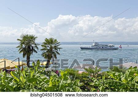 Pleasure boat on Lake Constance, palm trees on the waterfront, Meersburg, Baden-Württemberg, Germany, Europe View Large Photo Image Stock Photo - Pleasure boat on Lake Constance, palm trees on the waterfront, Meersburg, Baden-Württemberg, Germany, Europe. Fotosearch