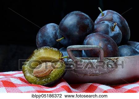 Plums (Prunus domestica domestica) in bowl View Large Photo Image Stock Image - Plums (Prunus domestica domestica) in bowl. Fotosearch