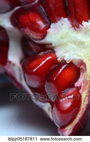 Pomegranate seeds in fruit, Punica granatum View Large Photo Image Stock Image - Pomegranate seeds in fruit, Punica granatum. Fotosearch