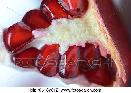 Stock Image - Pomegranate seeds in fruit, Punica granatum. Fotosearch