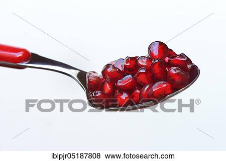 Stock Photo - Pomegranate seeds on spoon, Punica granatum. Fotosearch
