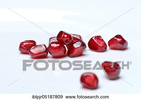 Stock Photo - Pomegranate seeds, Punica granatum. Fotosearch