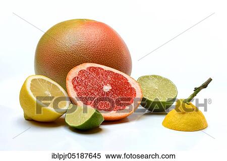 Pomelo, red grapefruit, lime, lemon, halved View Large Photo Image Stock Photography - Pomelo, red grapefruit, lime, lemon, halved. Fotosearch