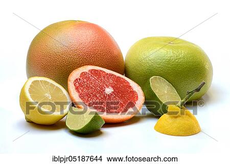 Picture - Pomelo, red grapefruit, sweetie ( cross between grapefruit and grapefruit, also Oroblanco), lime, lemon, halved. Fotosearch