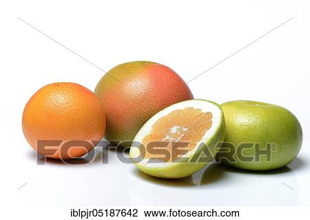 Pomelo, red grapefruit, sweetie ( cross between grapefruit and grapefruit, also Oroblanco) sliced View Large Photo Image Stock Image - Pomelo, red grapefruit, sweetie ( cross between grapefruit and grapefruit, also Oroblanco) sliced. Fotosearch