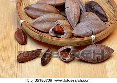 Pre-scored pilinuts in shell, opened ( Canarium ovatum) View Large Photo Image Stock Photo - Pre-scored pilinuts in shell, opened ( Canarium ovatum). Fotosearch