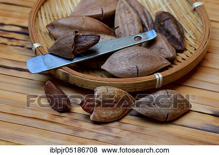 Stock Photo - Pre-scored pilinuts with pili cracker, opened ( Canarium ovatum). Fotosearch